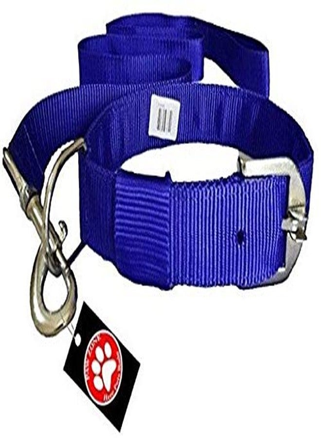 Skora Dog Collar & Leash (Large, Blue) - Image 1